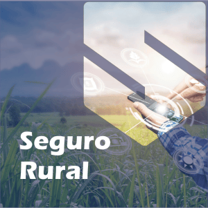 Riscos Rural